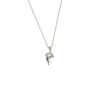 Colgante Delfin Mediano Y Cadena Plata Fina 925 Mujer